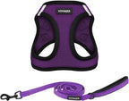 Best Pet Supplies Voyager Step-in Air All Weather Mesh Harness and Reflective Dog 5ft Leash Combo with Neoprene Handle, for Small, Medium and Large Breed Puppies - Fuchsia, Small - Image 14
