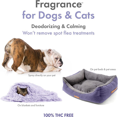 Back label of Petkin Hemp Fragrance showing ingredients