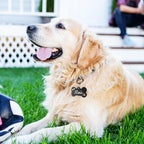 YEHANTI personalized pet ID tags featuring different font styles and decorative icon options.