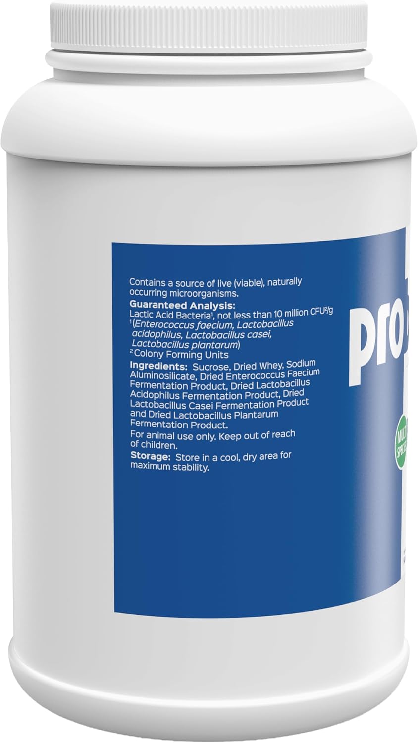 Close up of Probios dispersible powder texture