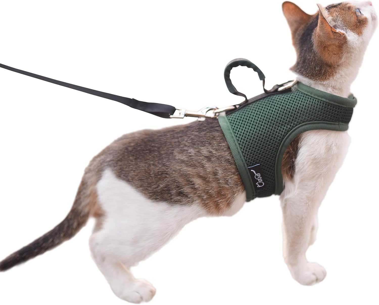 Cat Harness and Leash for Walking Escape Proof Breathable Mesh Fabric, Solid Blue, Large, Adjustable Cat Walking Jackets, Padded Stylish Cat Vest - Image 10