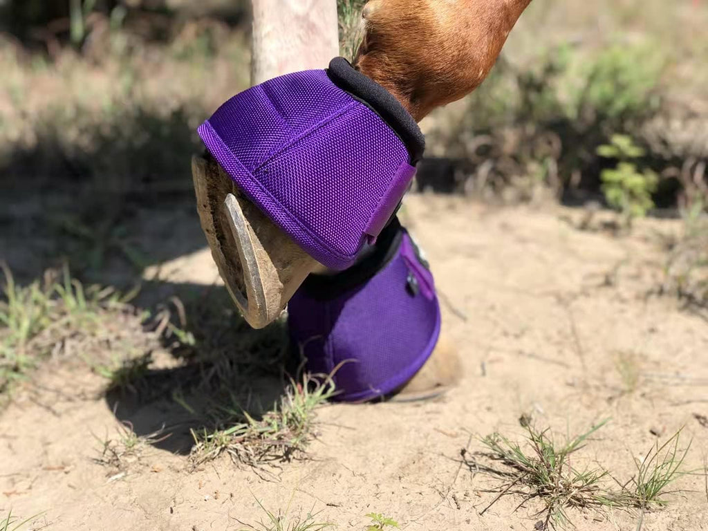 TGW RIDING horse protection boots with anatomical no turn knob