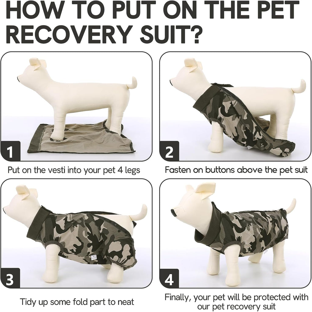 SAWMONG dog onesie after surgery demonstrating the rolled up rear flap mechanism for bathroom breaks.