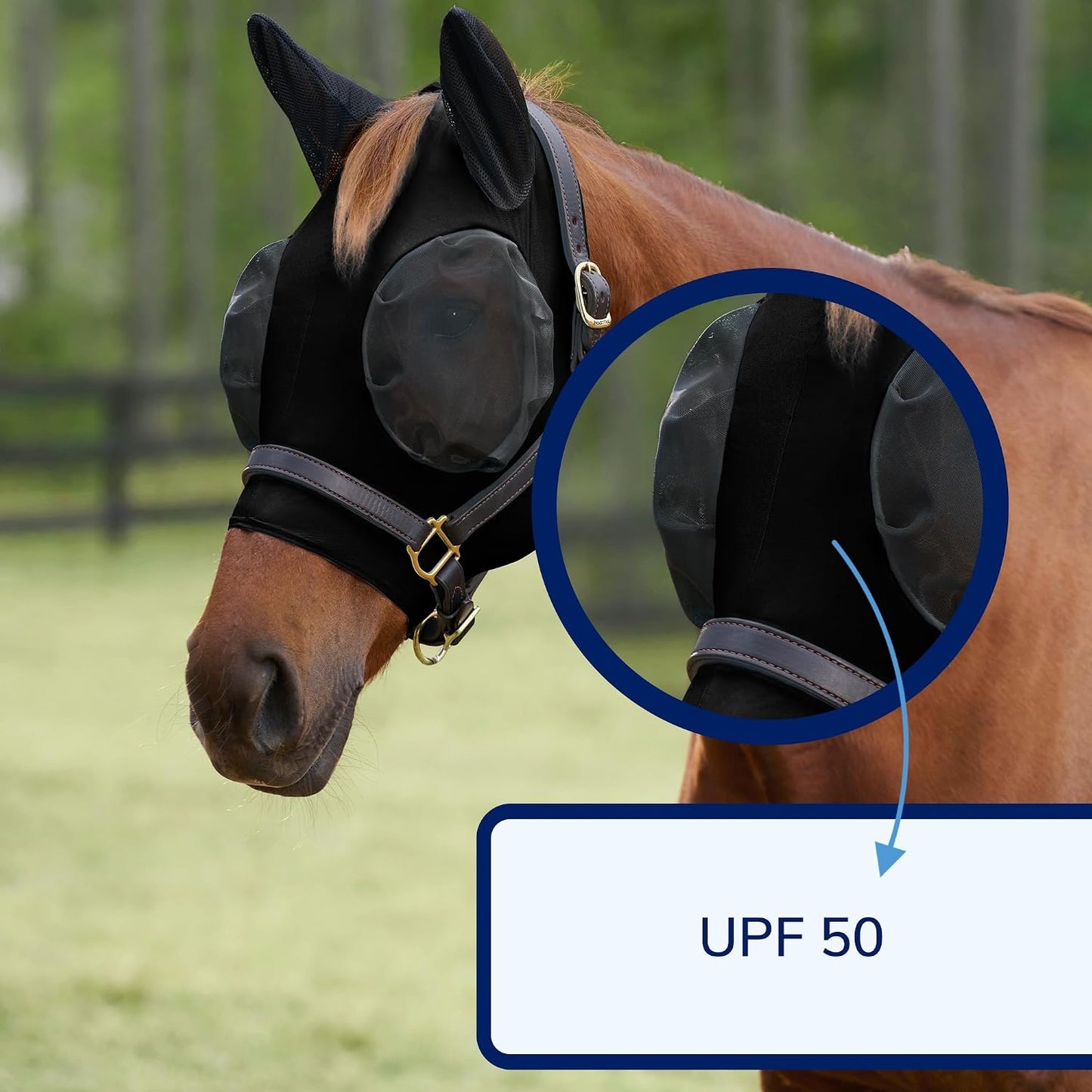 Side profile of horse wearing SmartEquine UV protection mask