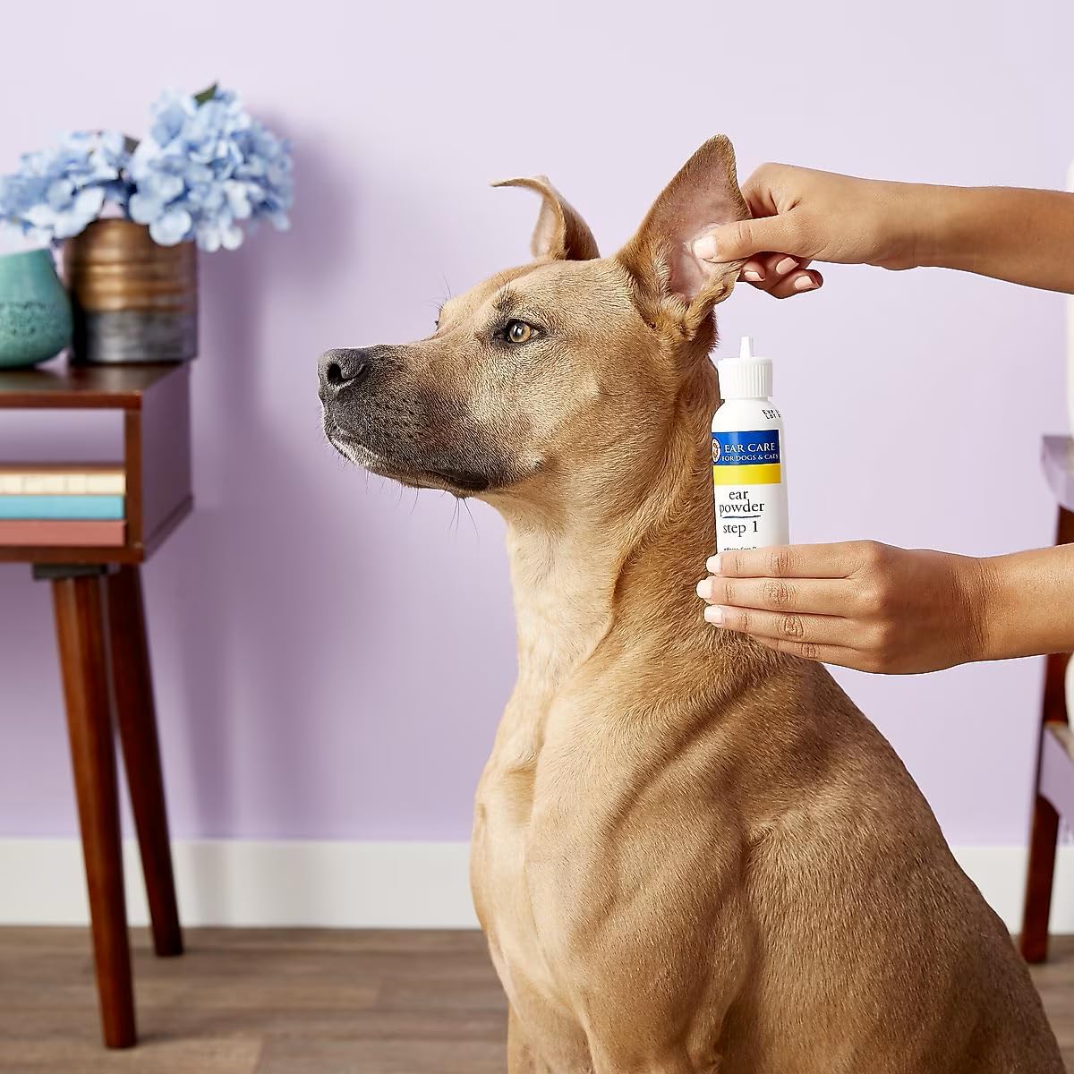 Miracle Care ear powder packaging details for pets