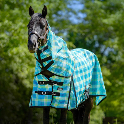 Premium imported USA horse sheet for seasonal insect defense layout view