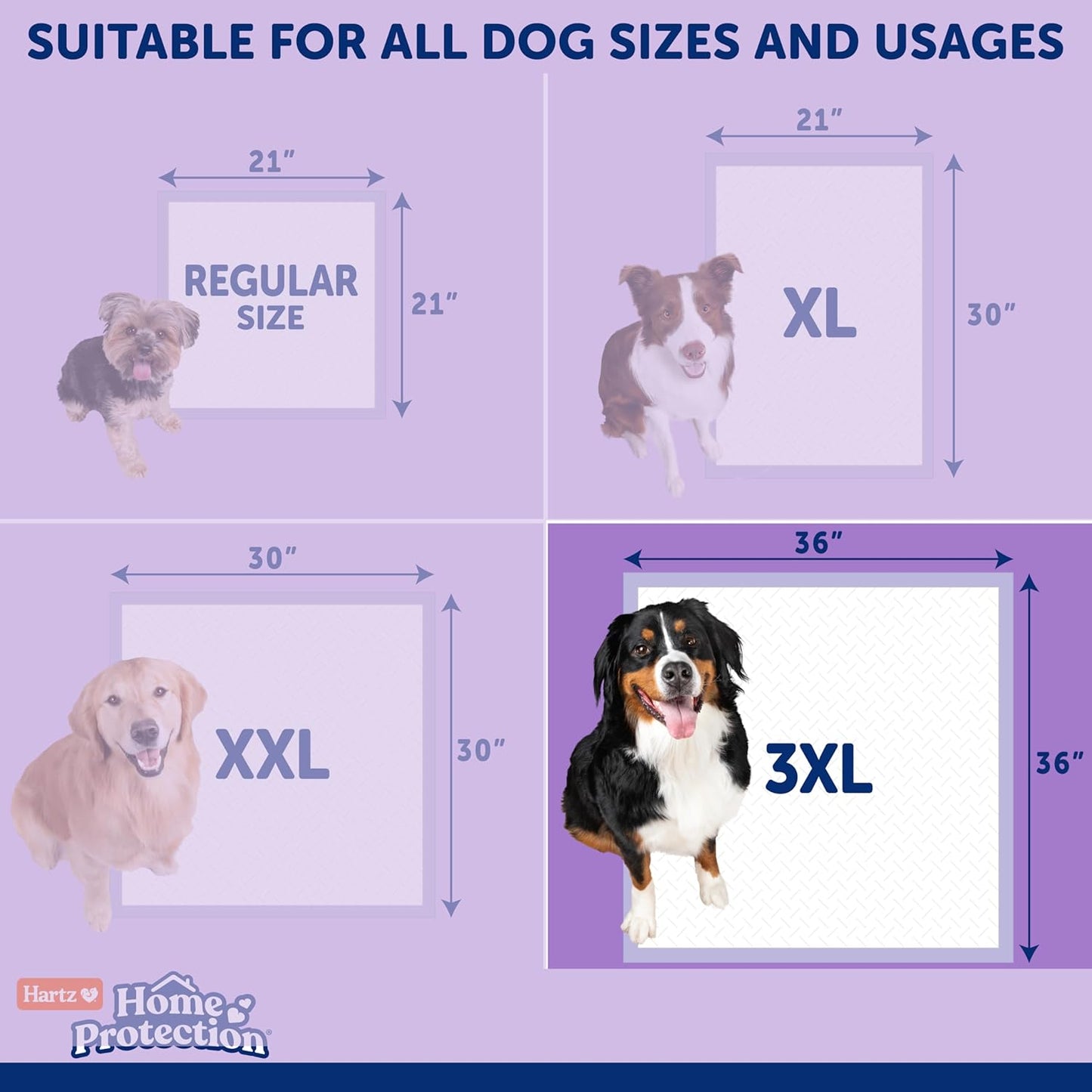 Large dog standing on Hartz 3XL super absorbent training pad