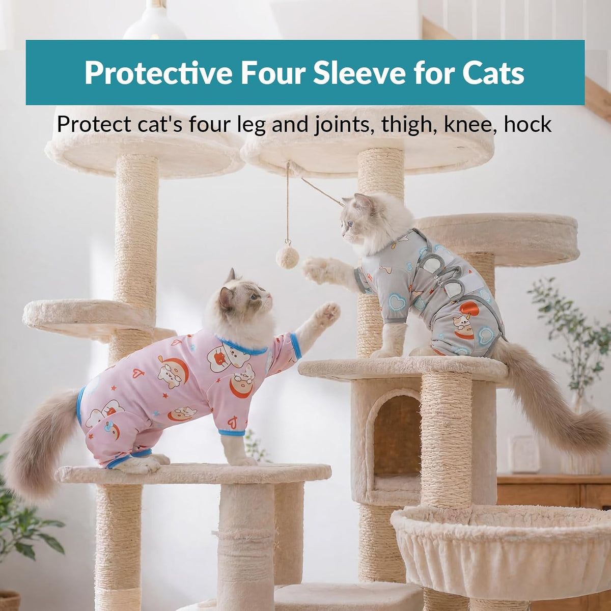 Cat wearing grey recovery suit resting comfortably