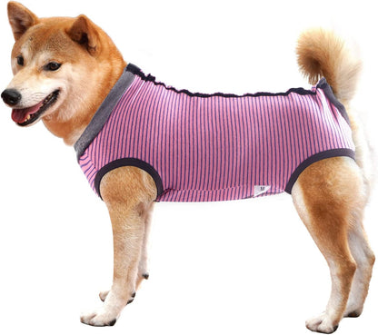 Dotoner grey dog recovery suit flat layout showing full length coverage
