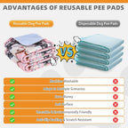 Kooltail 36 by 41 inch dog pee pads in a crate