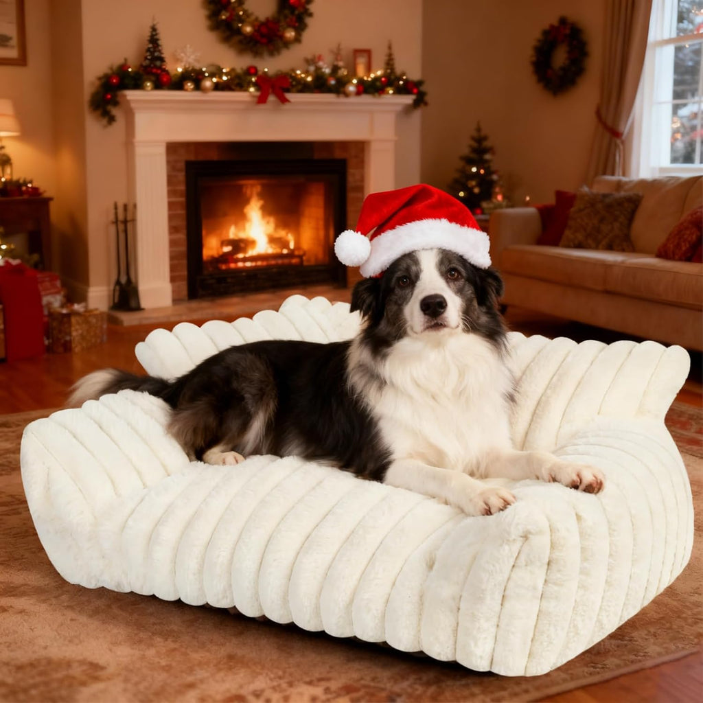 Small dog sleeping on Wn's Day couch bed