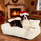 Small dog sleeping on Wn's Day couch bed