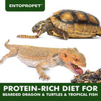 Dried mealworms and crickets medley food texture close up