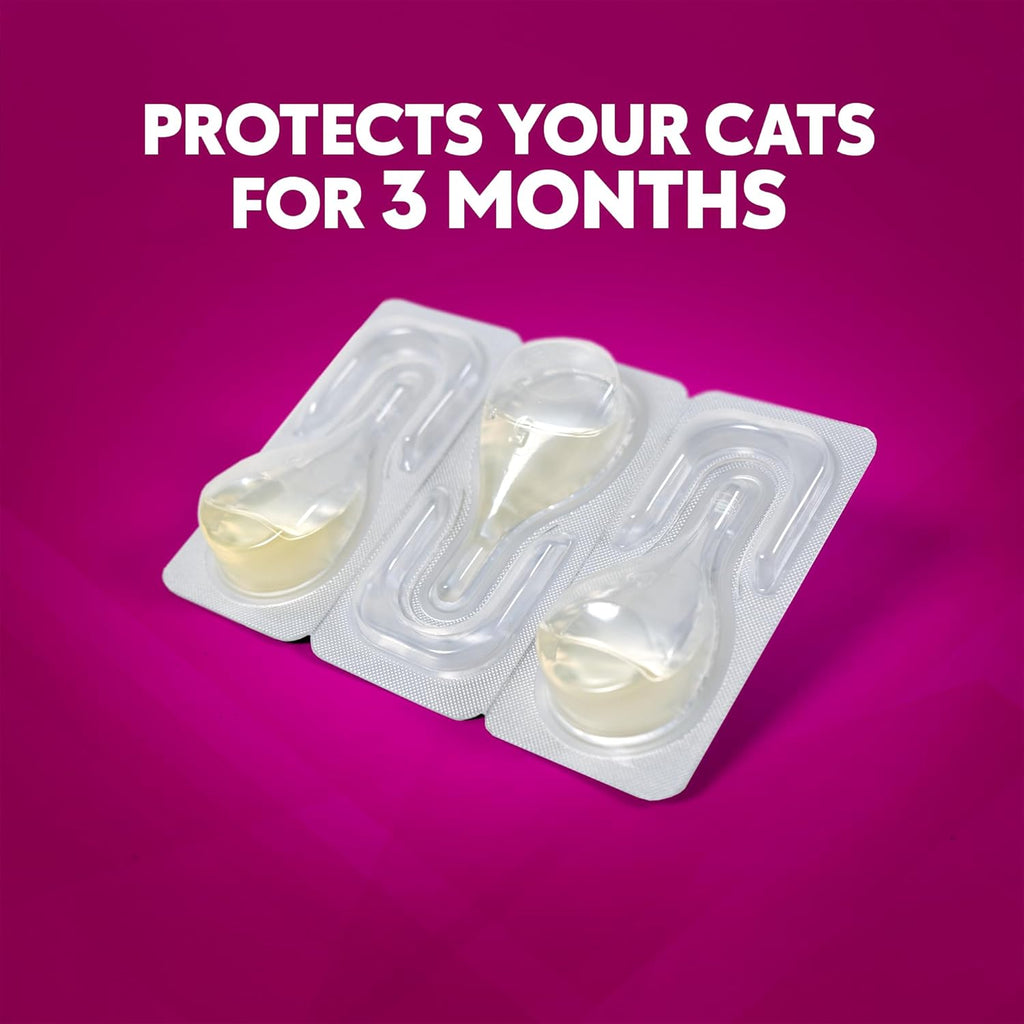 ZoGuard Plus three month supply flea treatment for kittens