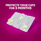 ZoGuard Plus three month supply flea treatment for kittens