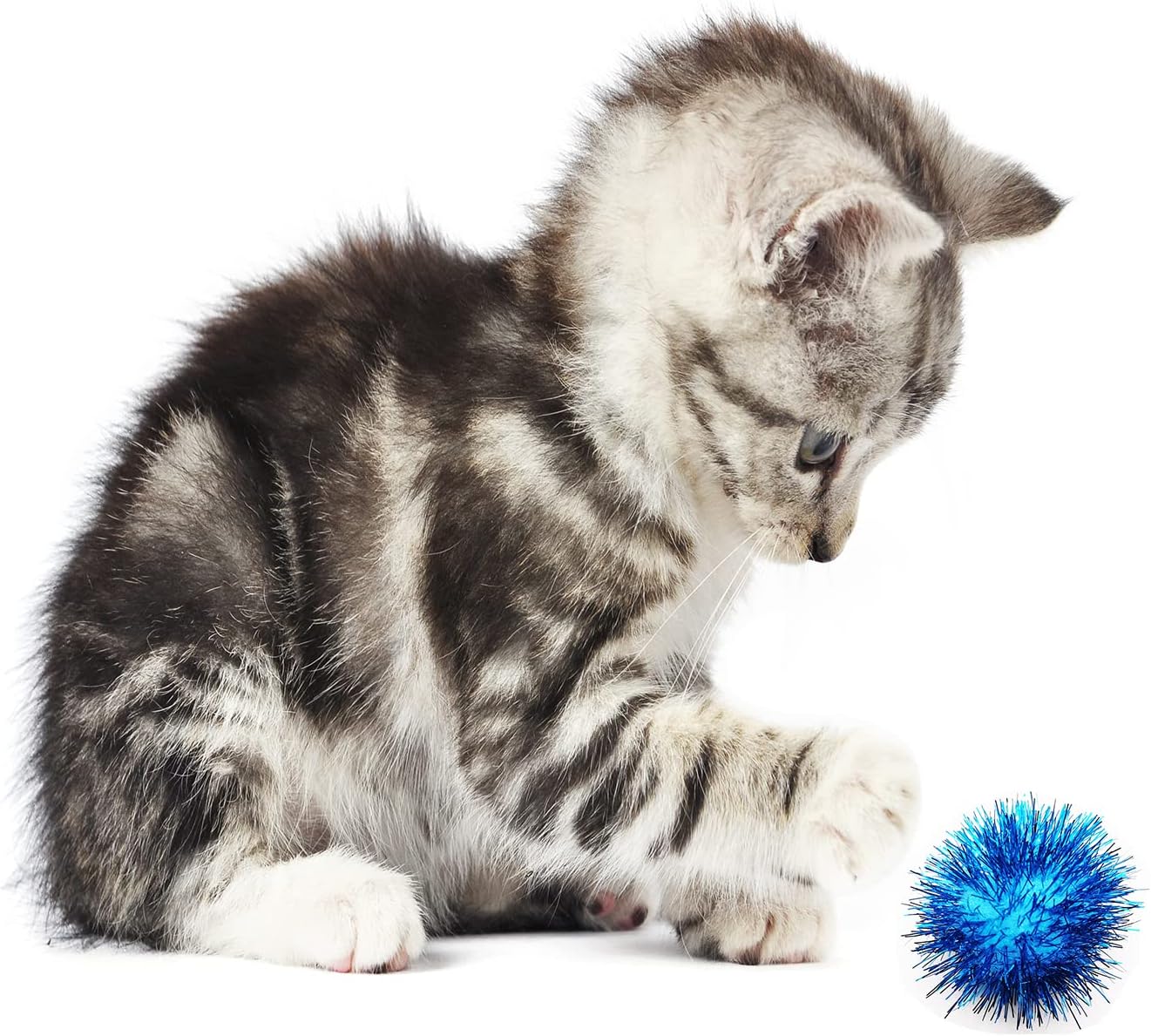Interactive shiny flash balls for domestic cat chasing game