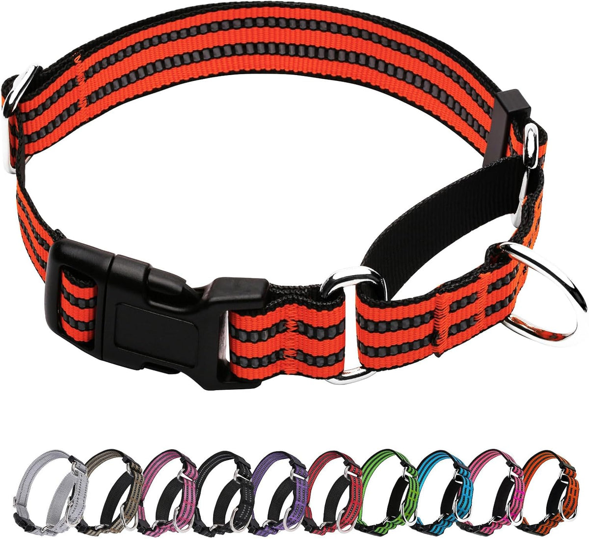 Dog wearing medium sized Joyeeiioo martingale collar