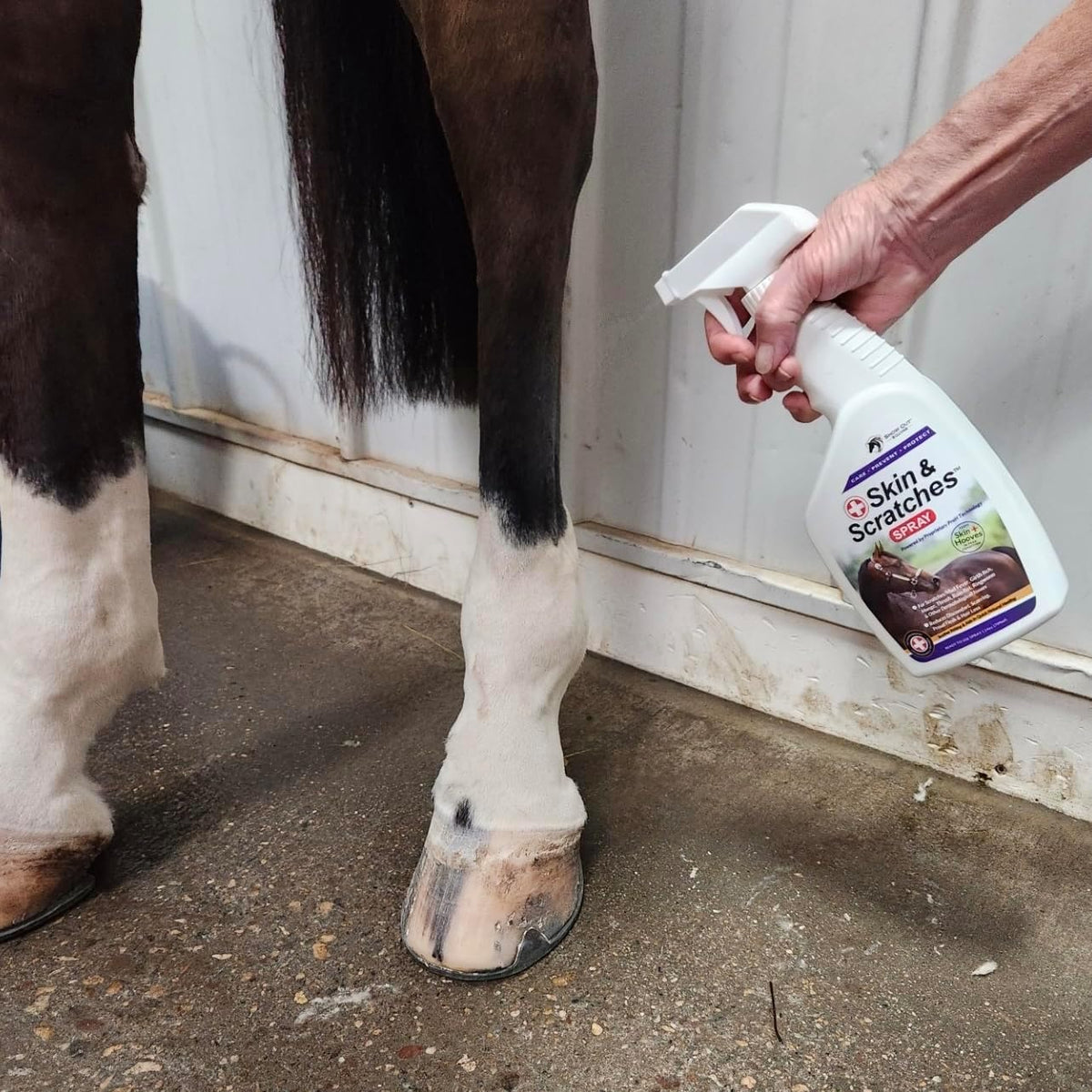 Show Out Skin & Scratches 4 oz Concentrate - Fast Relief and Prevention for Horse Care. Use on Equine Scratches/Mud Fever, Girth Itch, Mange, Thrush, Rain Rot, Ringworm, etc w/Empty Spray Bottle - Image 10
