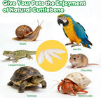 Pet bird calcium supplement packaging angle view