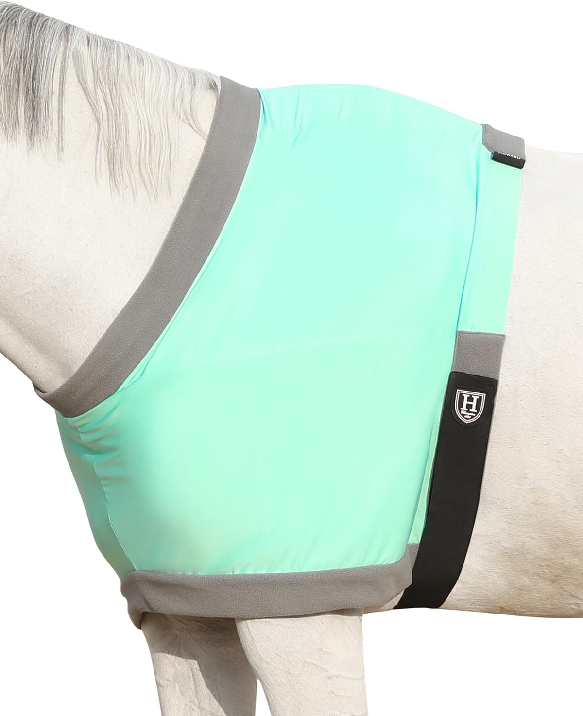 Harrison Howard horse shoulder guard front view in summer mint green color.