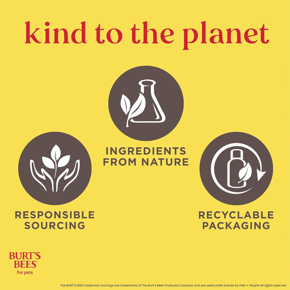 Burt's Bees puppy shampoo brand label and bottle design