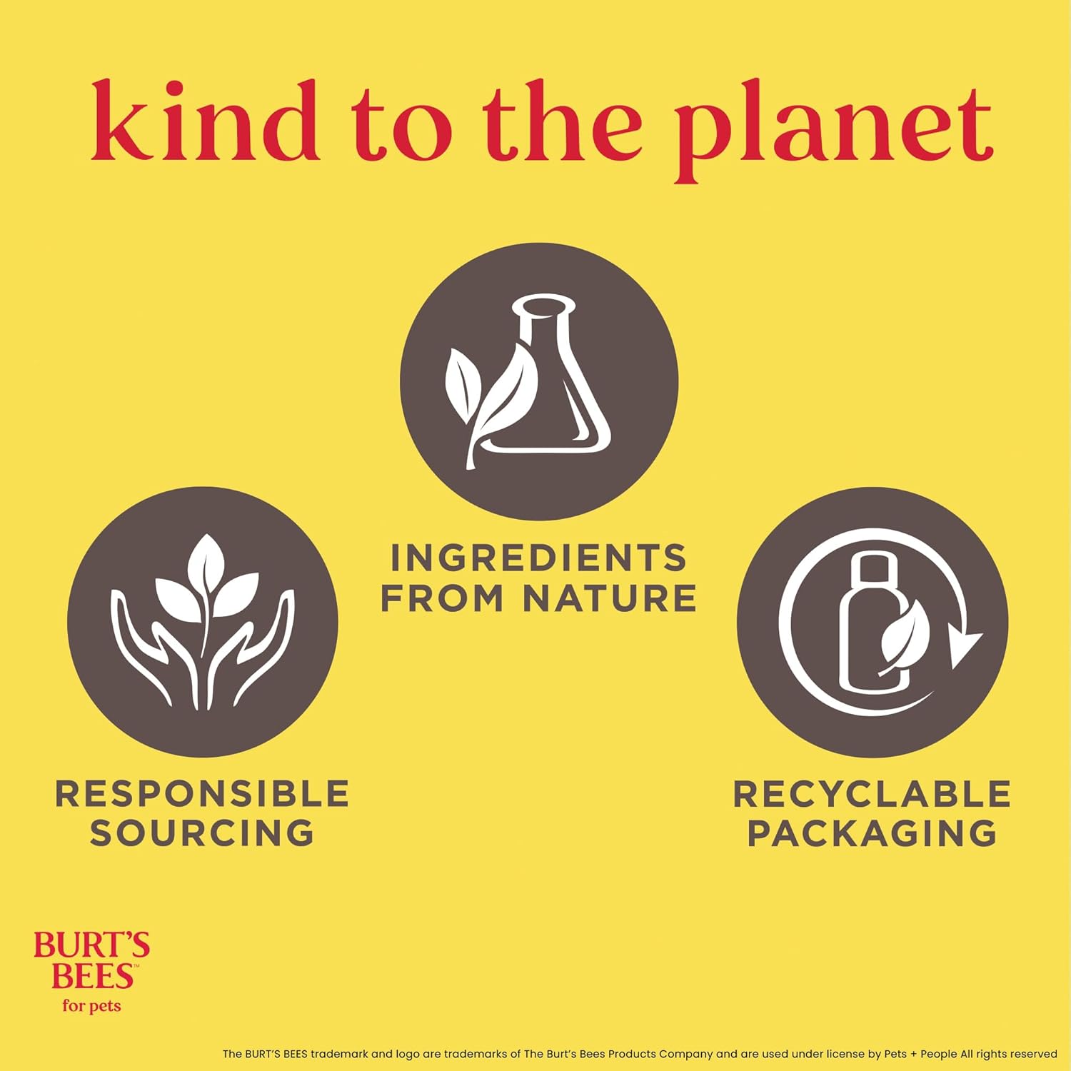 Usage instructions label on Burt's Bees Hypoallergenic Dog Shampoo