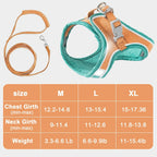 Reflective cat harness strips glowing in low light safety view