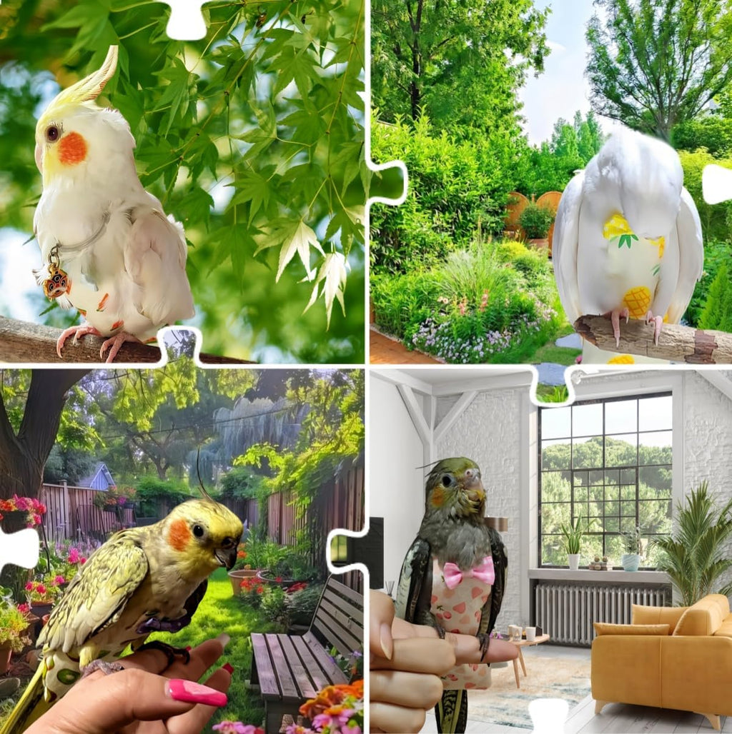 Complete five piece set of reusable parrot flight suits