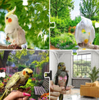 Complete five piece set of reusable parrot flight suits
