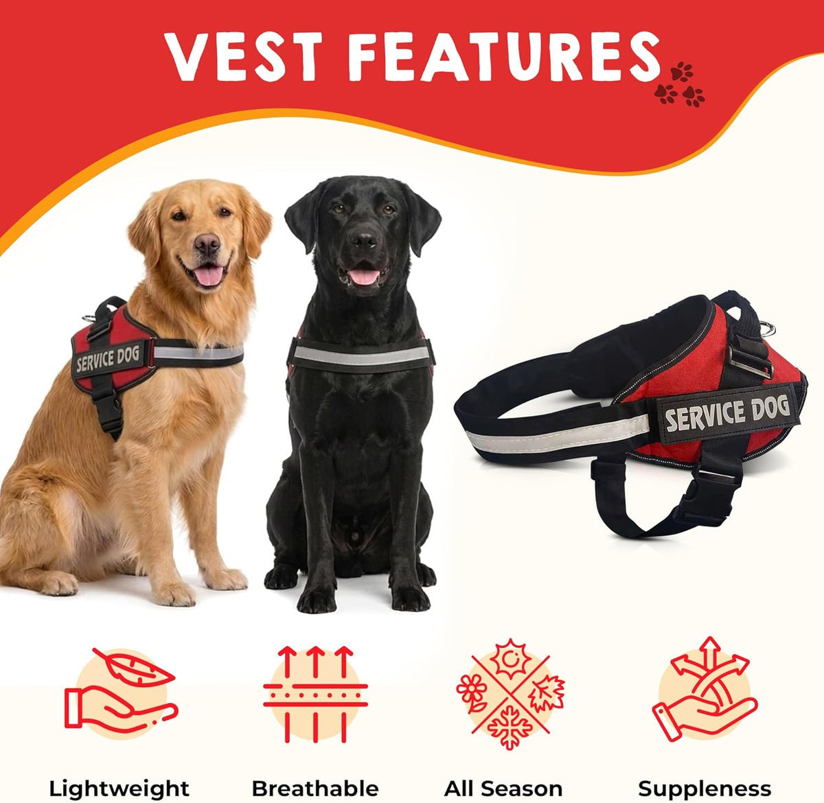 Pelto service dog accessories showing the pack of fifty info cards and storage box.