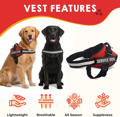 Pelto service dog accessories showing the pack of fifty info cards and storage box.