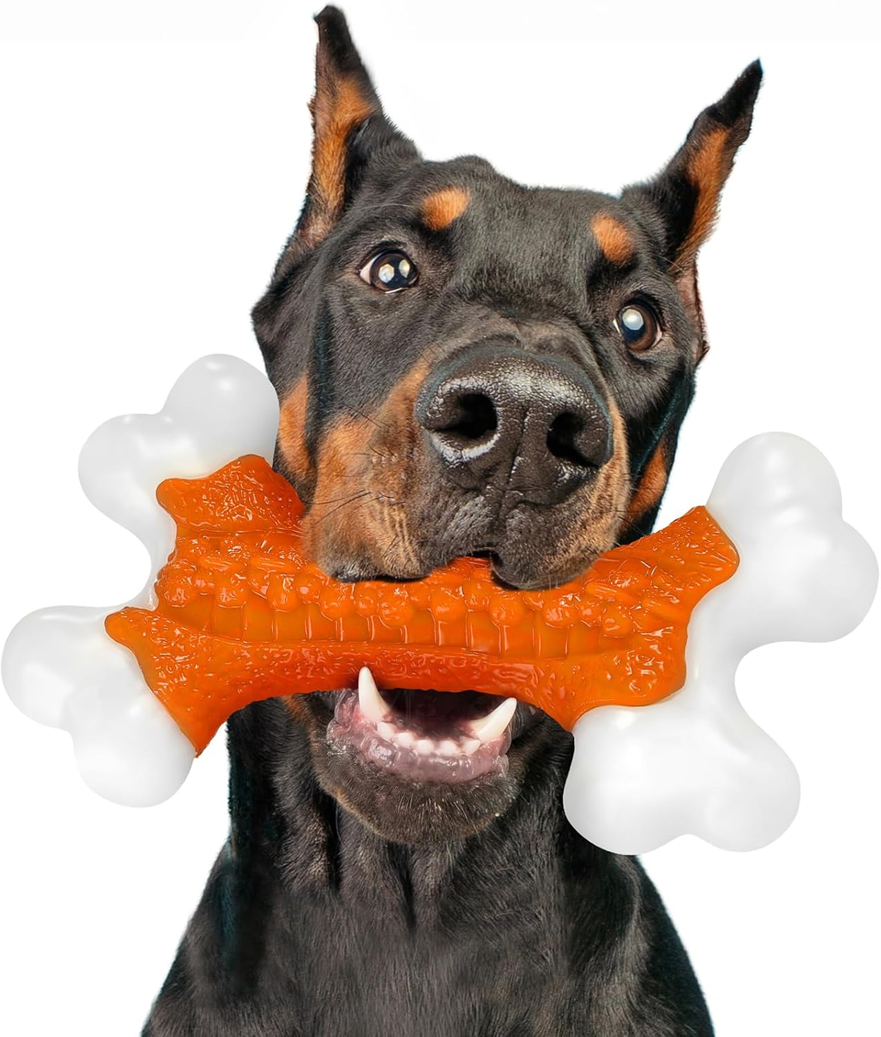 Kseroo Tough Dog Toys for Aggressive Chewers: Beef Flavored Hard Nylon Bones, Dog Chew Toys for Medium Large Breed Dogs (20-90 lbs), Red - Image 12