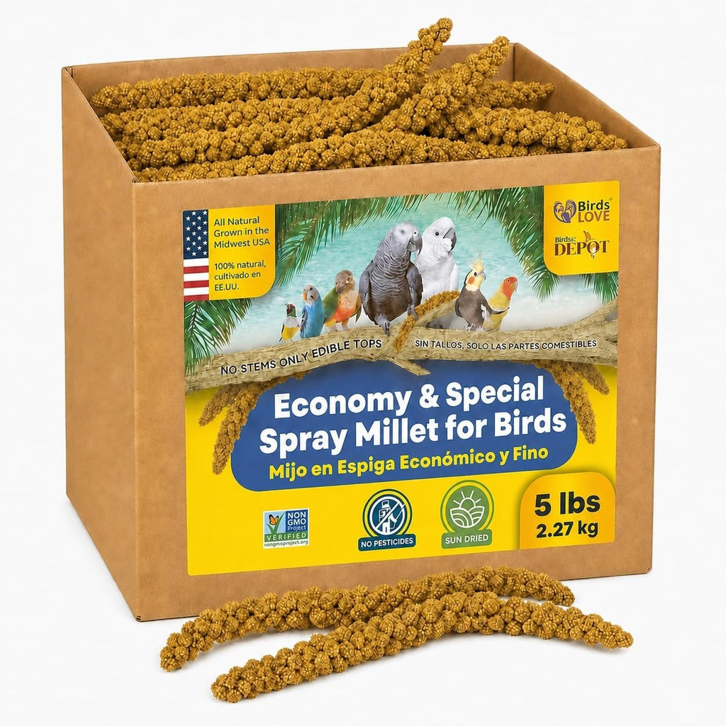1lb Economy & Special Spray Millet for Birds - GMO-Free, No Stems (Only Edible Tops) - 100% Natural Sun-Dried Foraging Treat for Cockatiels, Lovebirds, Parakeets, Finches & Canaries - Image 11