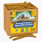 1lb Economy & Special Spray Millet for Birds - GMO-Free, No Stems (Only Edible Tops) - 100% Natural Sun-Dried Foraging Treat for Cockatiels, Lovebirds, Parakeets, Finches & Canaries - Image 11