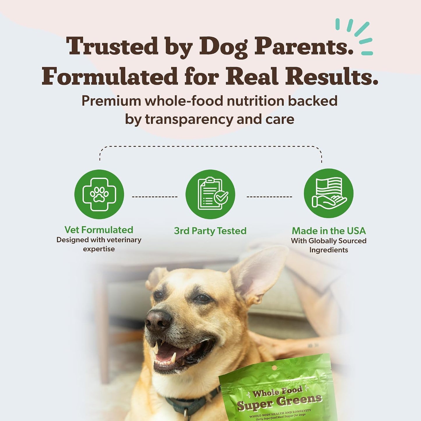 Whole food super greens nutritional powder package for all dog life stages