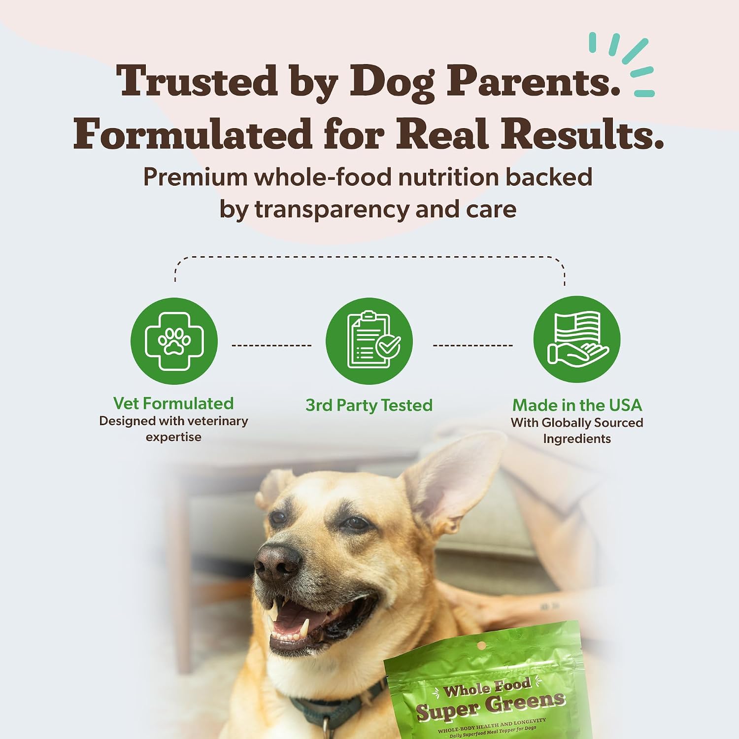 Whole food super greens nutritional powder package for all dog life stages