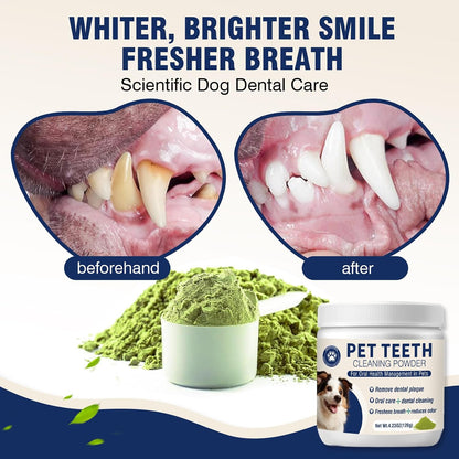 Natural ingredients graphic illustrating brown algae and probiotics used for canine dental health.