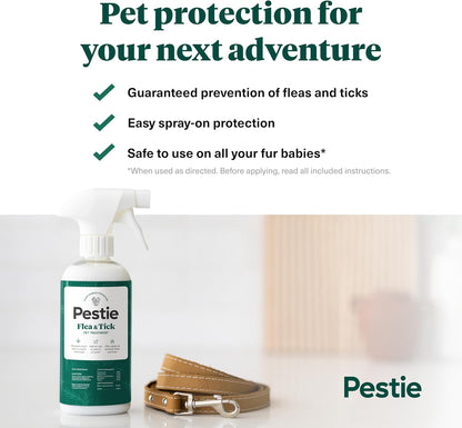 Pet owner applying Pestie natural flea and tick spray