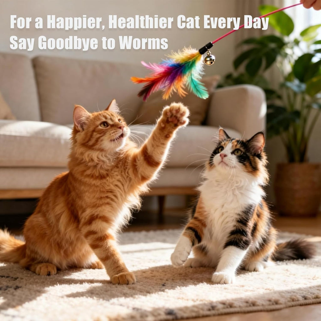 Totoketty feline digestive cleanser liquid supplement package detailing internal balance support features.