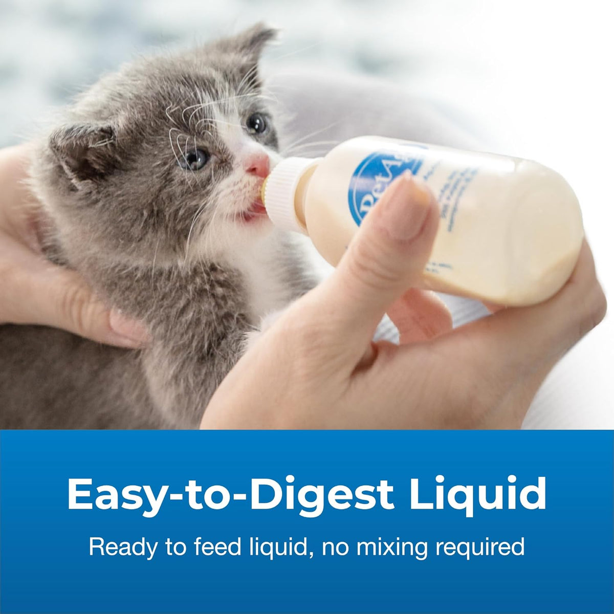 Healthy newborn kittens being fed with a specialized nursing bottle