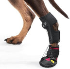 Haggemi dog paw brace showing interior cushion and fit