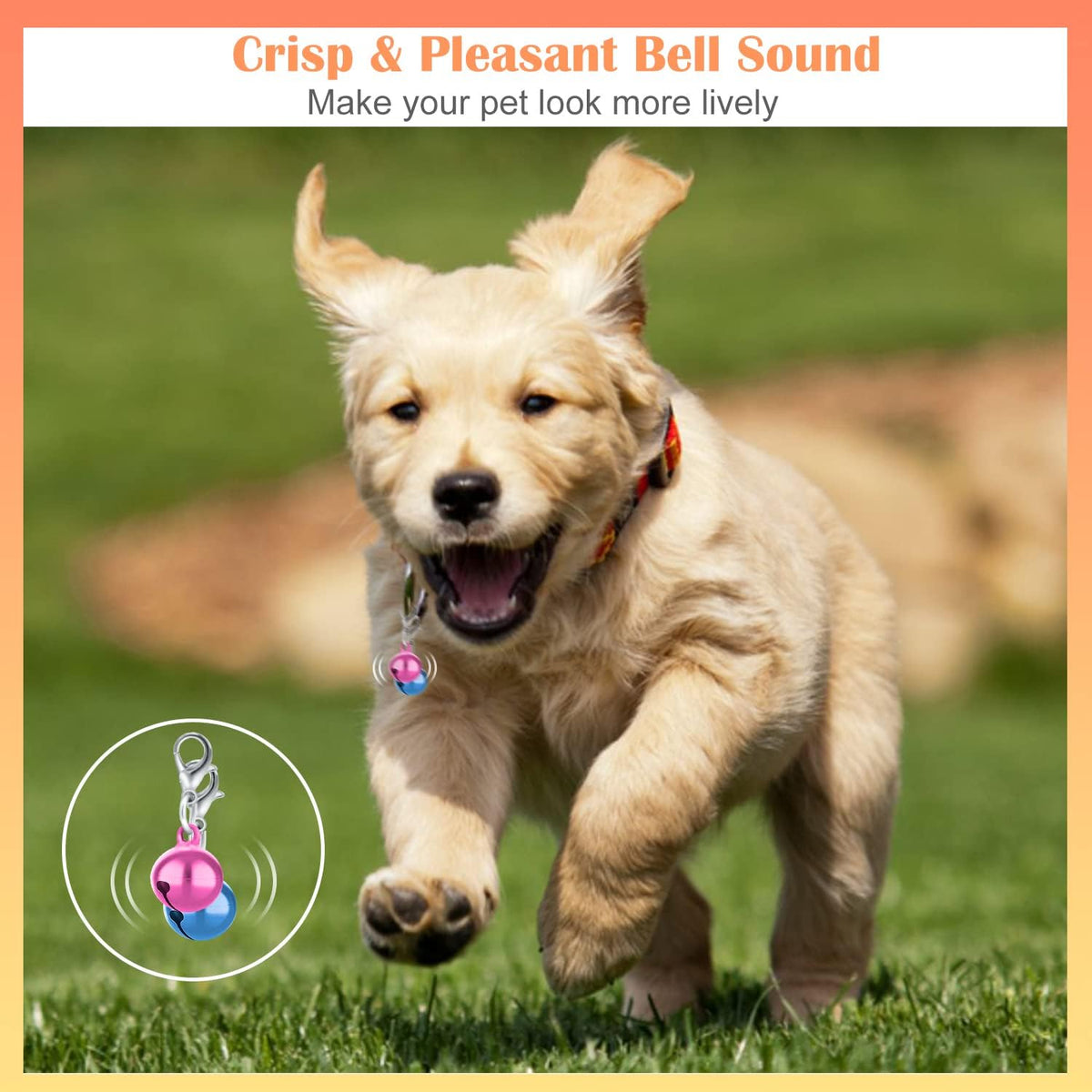 Durable rust resistant colorful pet bells for puppy styling accessories