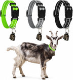 Lifestyle view of small farm animal wearing the colorful nylon collar