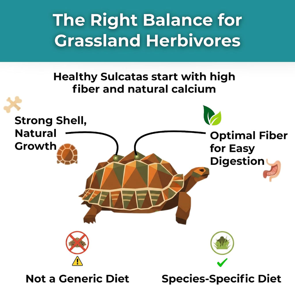 Sulcata Tortoise Calcium and Multivitamin Powder shaker bottle design