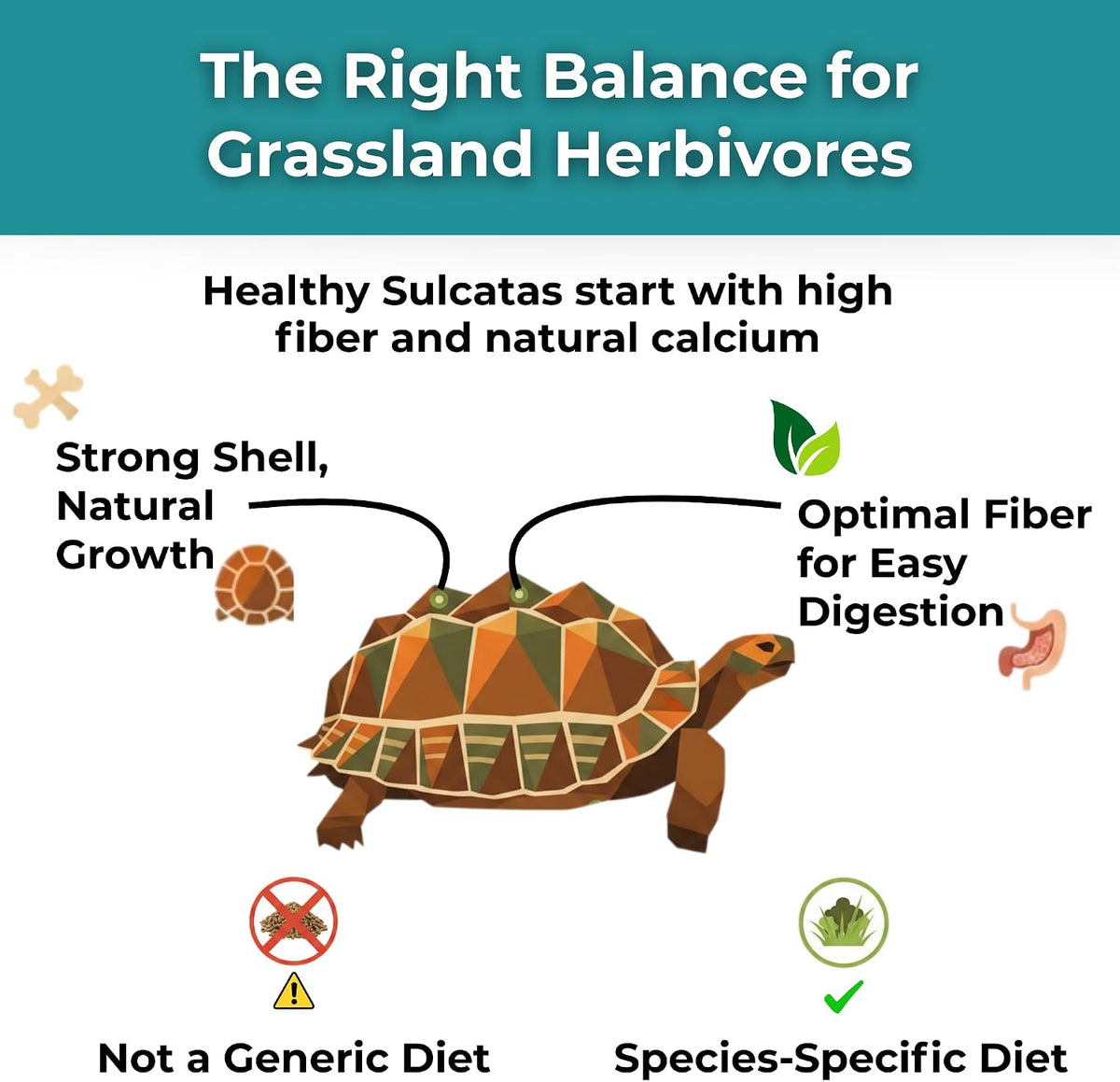 Sulcata Tortoise Calcium and Multivitamin Powder shaker bottle design