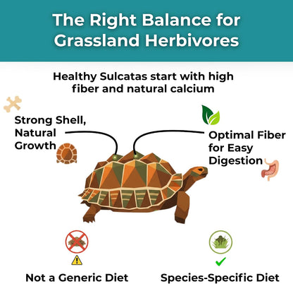High fiber multivitamin powder for tortoises label details
