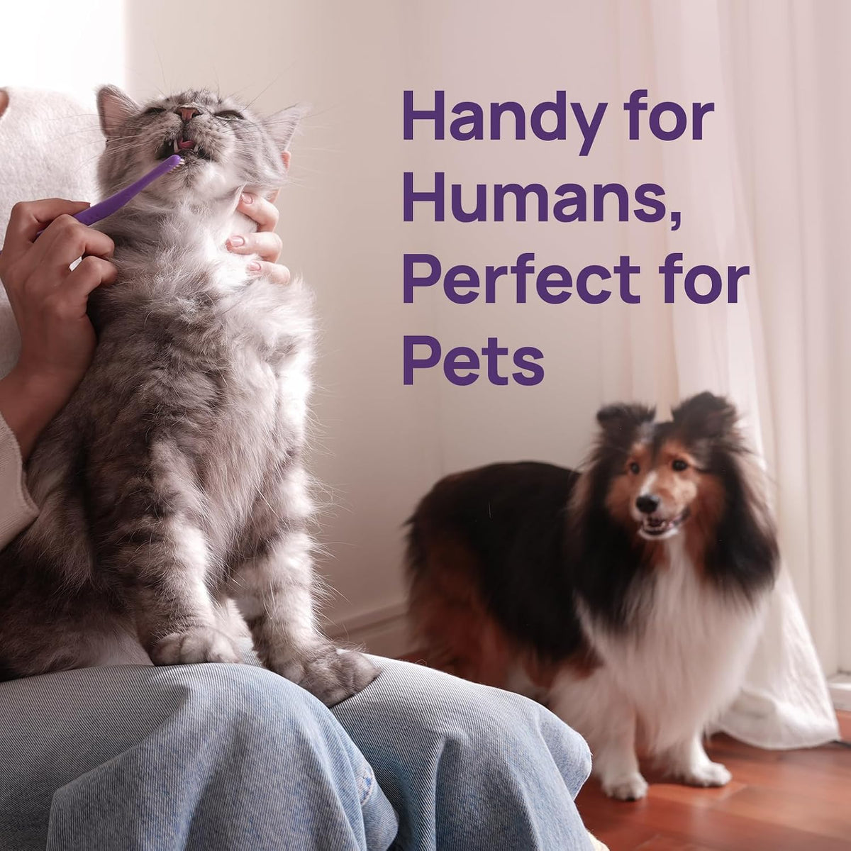 HICC PET Toothbrush for Cats & Small Dogs, Vet-Recommended Ergonomic Pet Toothbrush for Easy Teeth Cleaning, Gentle on Gums, Cat & Dog Dental Care, Improves Oral Hygiene. Toothpaste Not Included - Image 9