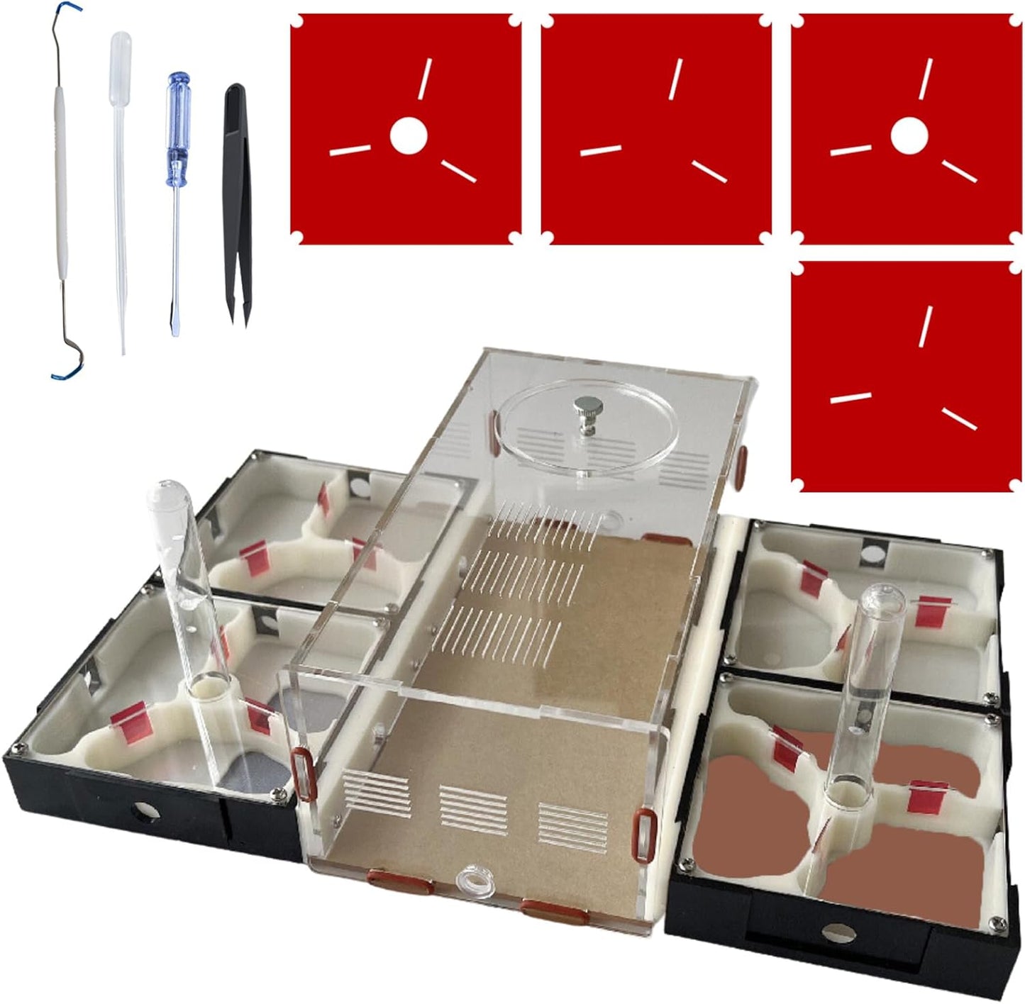 Ants Footsteps ant farm nest science DIY terrarium kit front view showcasing transparent acrylic castle