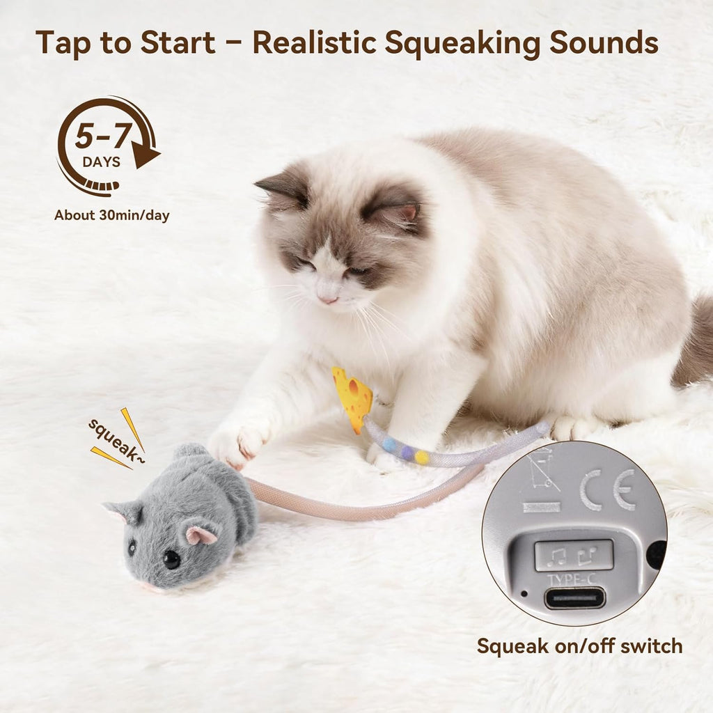 An indoor cat pawing the grey Migipaws interactive toy to trigger the smart motion sensor.