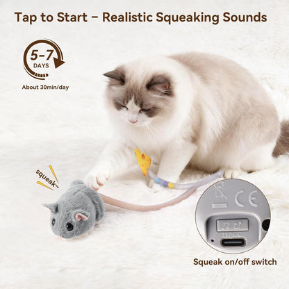 An indoor cat pawing the grey Migipaws interactive toy to trigger the smart motion sensor.